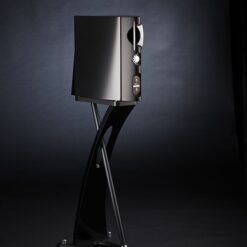 Alternative view of Raidho TD1.2