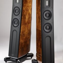 Raidho TD2.2