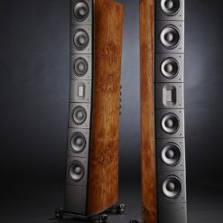 Raidho TD4.2