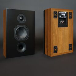 Scansonic HD L On Wall