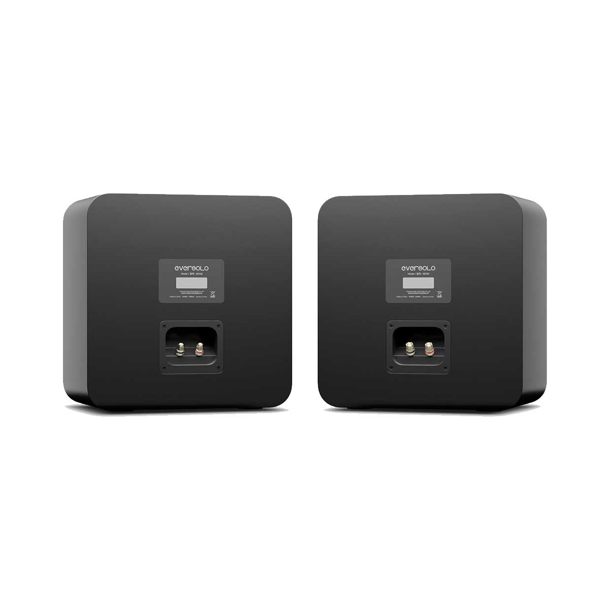 Eversolo SE100 - Imagen 2