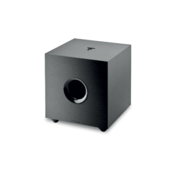 Alternative view of Focal Cub Evo
