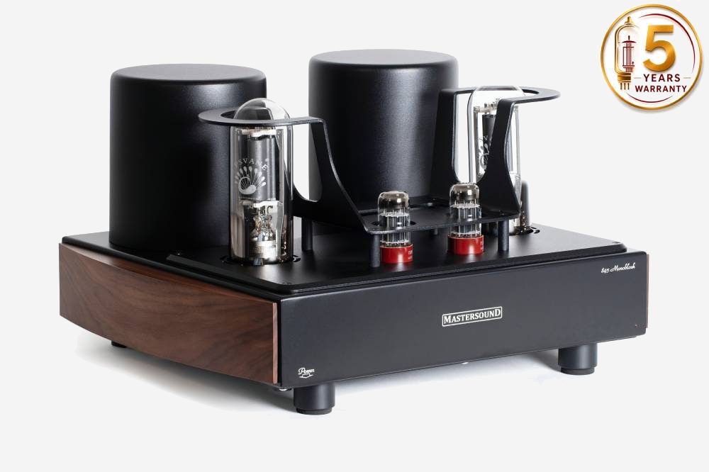 Mastersound 845 Monoblock (pareja)
